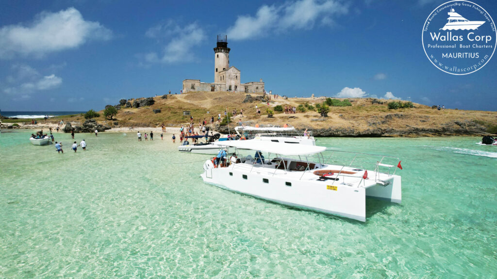 CataSpeed cruises