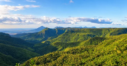 Mountain and forest views at Black River Gorges, Mauritius