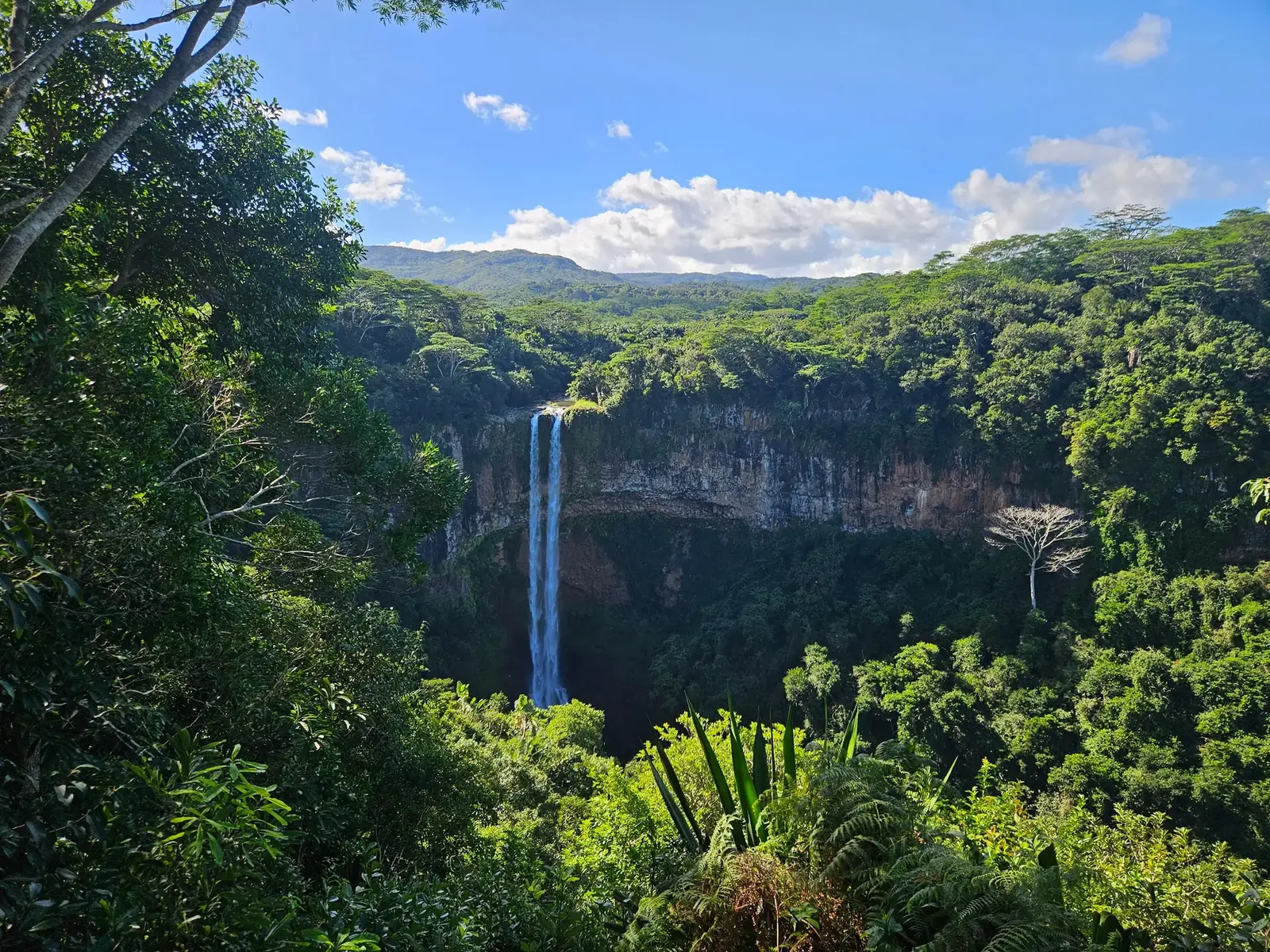 Chamarel Waterfall seen through tropical vegetation beneath a blue sky in Mauritius.