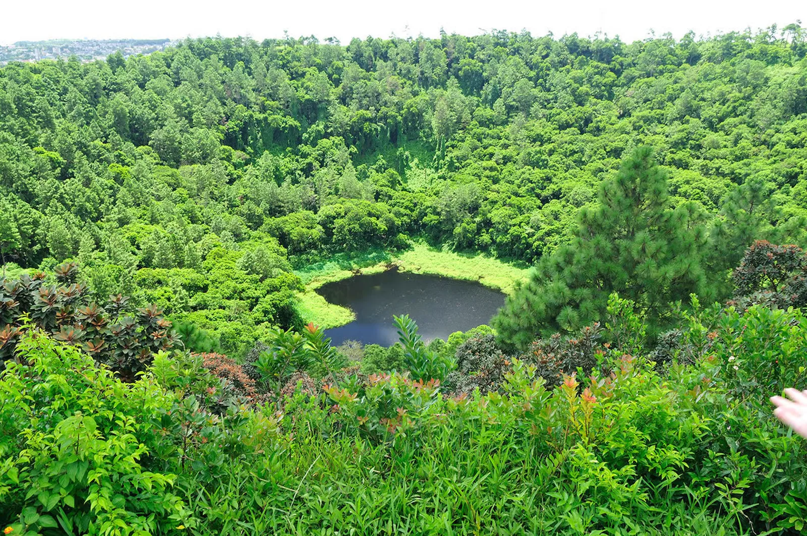 Wooded slopes and a small crater lake at Trou aux Cerfs in Curepipe, Mauritius.
