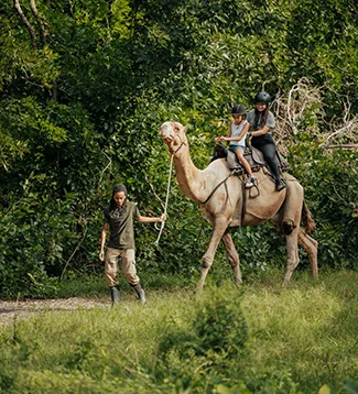 Visitors riding a camel with a handler at Casela Nature Parks in Mauritius.