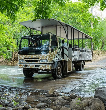 An open-sided safari bus at Casela Nature Parks in Mauritius.